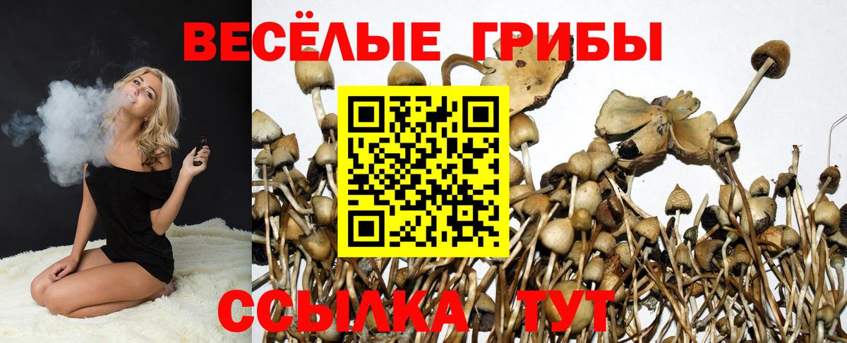 Галлюциногенные грибы Psilocybine cubensis  Галлюциногенные грибы прущие грибы  Джанкой  Вход с VPN 